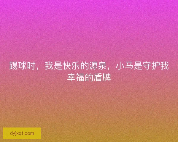 踢球时，我是快乐的源泉，小马是守护我幸福的盾牌